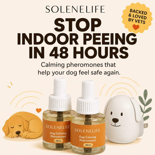 SoleneLife dog calming pheromone diffuser with two 48mL refills and sleeping puppy illustration