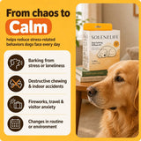 From chaos to calm: SoleneLife helps reduce stress-related behaviors dogs face every day